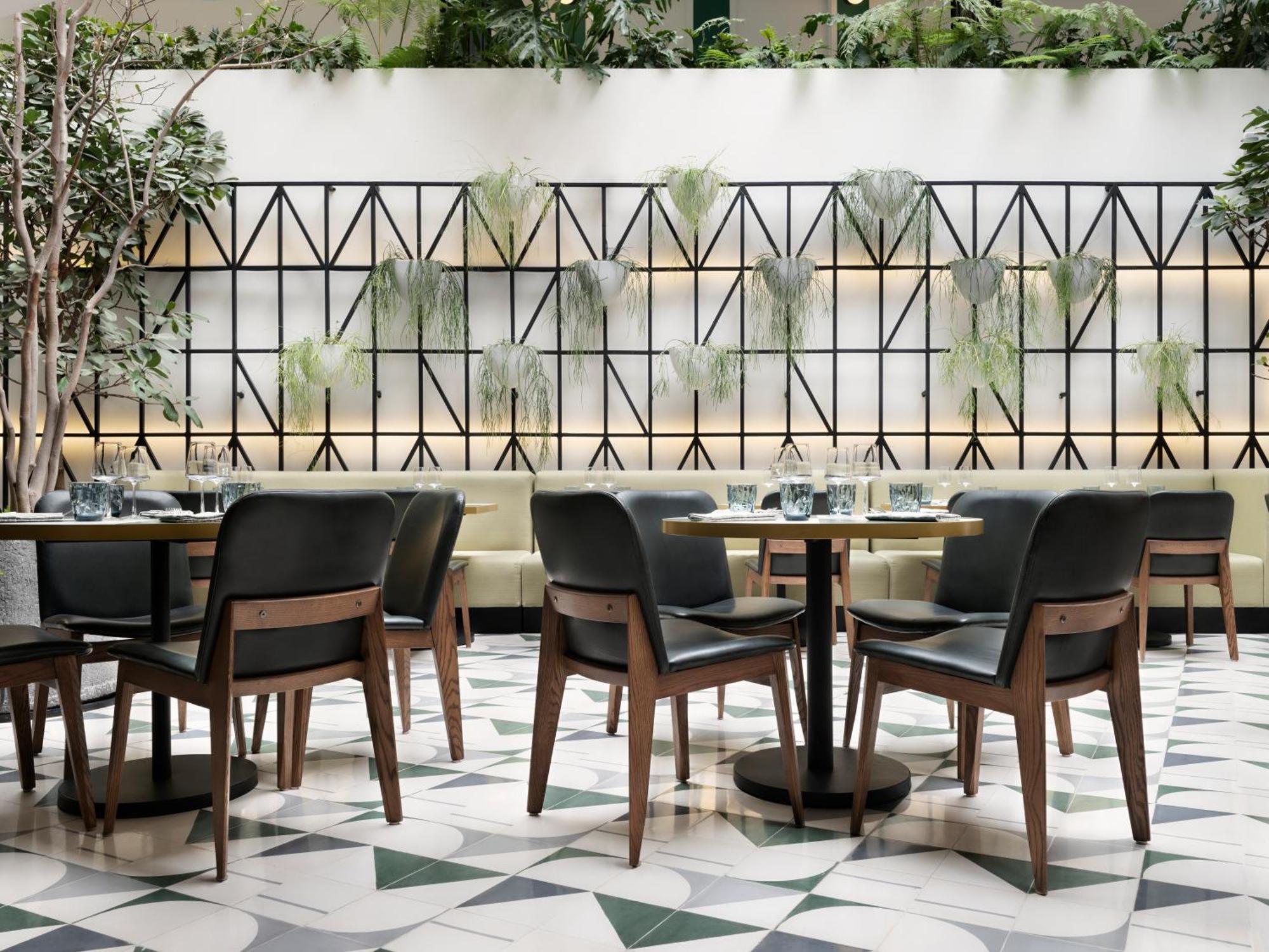 Hotel Kimpton Virgilio By Ihg Città del Messico Esterno foto