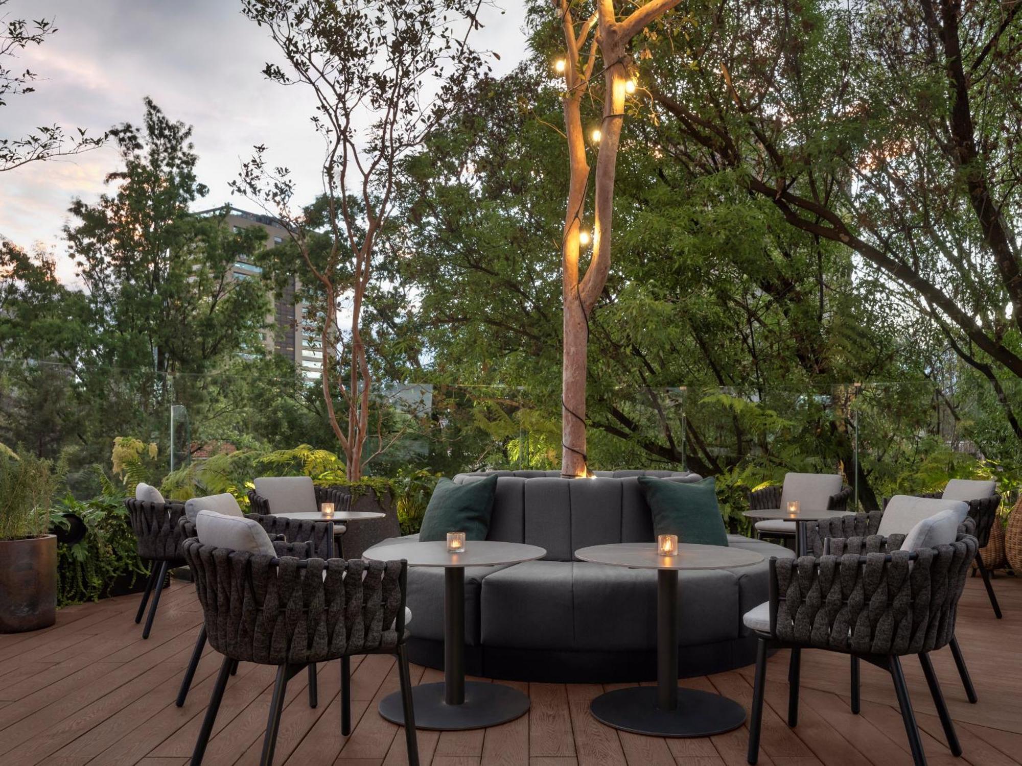 Hotel Kimpton Virgilio By Ihg Città del Messico Esterno foto